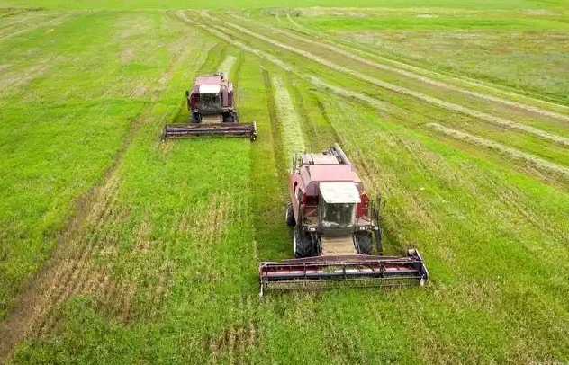 Agricultural Hose Solutions: Empowering Modern Farming with Reliable Fluid Management