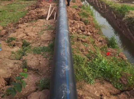 Agricultural Hose Solutions: Empowering Modern Farming with Reliable Fluid Management
