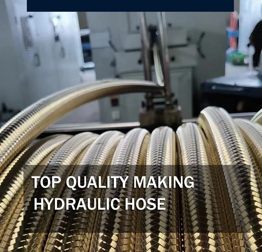 stainless braided propane hose
