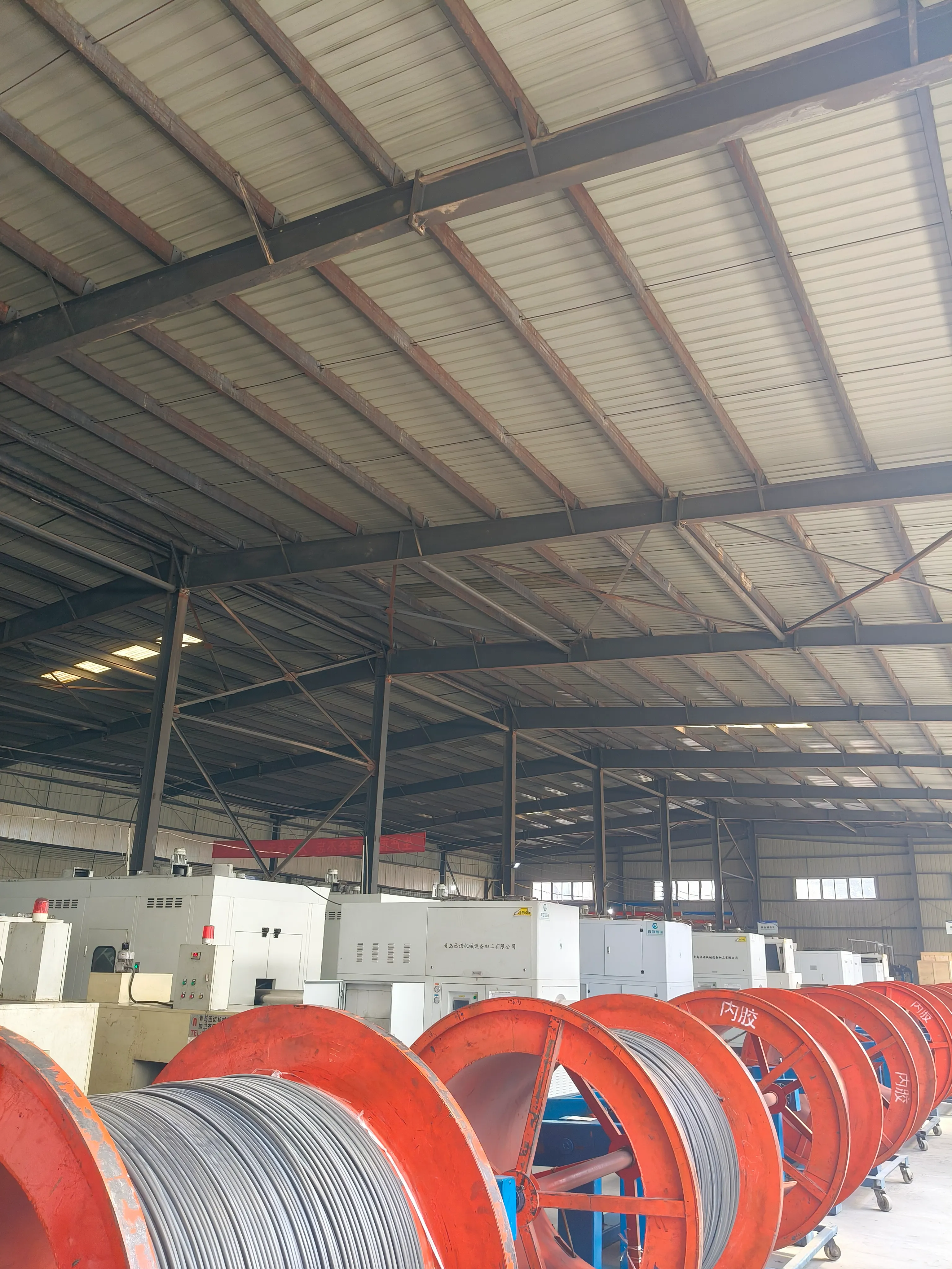 steam cleaner hose